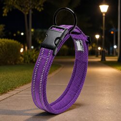 Purple Reflective Dog Collar for Enhanced Visibility