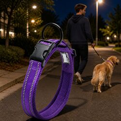 Enhance Your Dog's Night Walks with a Reflective Collar