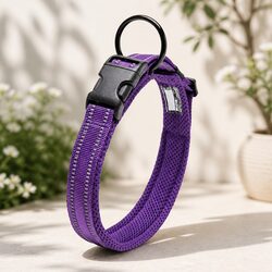 Elevate Your Walks with This XL Purple Dog Collar