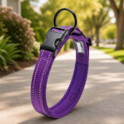 Heavy Duty Reflective Dog Collar Purple 3XL Safety Lock Stainless Steel O Ring