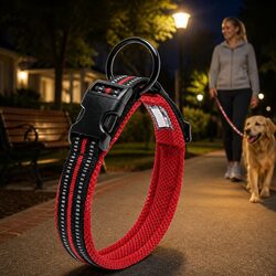 Enhance Your Dog's Safety with a Reflective Collar