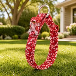 Enhance Your Pet's Style with a Red Floral Collar