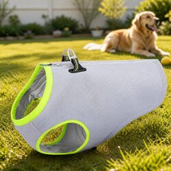 Enhance Your Dog's Comfort This Summer with a Cooling Vest