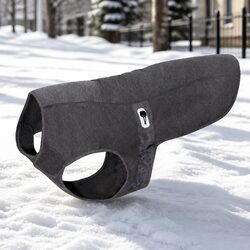 Elevate Your Pet's Comfort with This Charcoal XS Dog Winter Coat