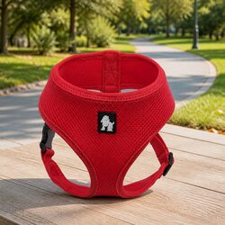 Enjoy Outdoor Adventures with Our XL Red Dog Harness