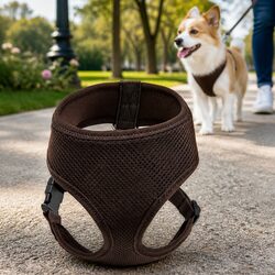 Comfortable Dog Harness for Outdoor Activities L Brown