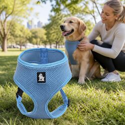 Everyday Blue Pet Walking Harness with Breathable Mesh