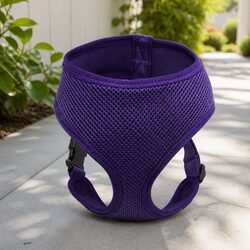Dog Harness with Steel D Ring Purple Small Adjustable Breathable Mesh Pet