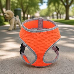 Enhance Your Outdoor Adventures with This Dog Harness