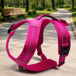 Enhance Your Dog Walks with This Reflective No-Pull Harness