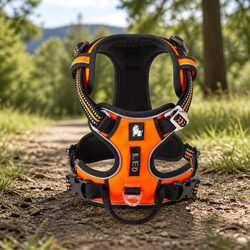 Reflective Mesh XL No Pull Dog Harness for Active Dogs