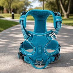 Enhance Your Walks with the XS Reflective Dog Harness