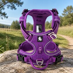 No Pull Dog Harness with Reflectors Breathable Mesh Adventurer Pet Harness