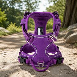 Enhance Your Dog Walking Experience with This XL Harness