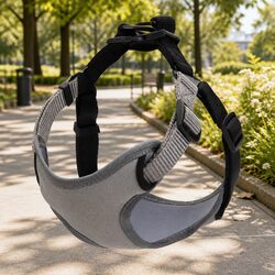 Enhance Your Walks with a Grey Dog Harness