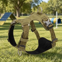Enhanced Outdoor Experience with Our Lightweight Dog Harness