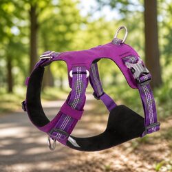 Lightweight Reflective No Pull Dog Harness Purple Large Secure Pet Walking