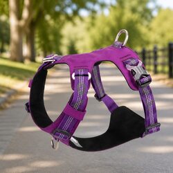 Lightweight Reflective No Pull Dog Harness Purple Small Pet Walking Training