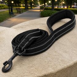 Elevate Your Walks with the Reflective Dog Leash 2m XS