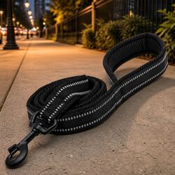 Elevate Your Walks with a 2m Reflective Dog Lead