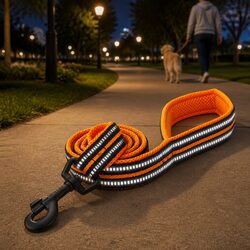 Reflective Nylon Dog Lead 2m XS Orange Pet Leash Walking Visibility Safety