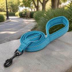 Comfortable 2m Reflective Dog Leash in XS Blue for Night Walking