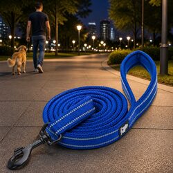 Stylish Reflective Dog Lead 2m for Safe Night Walks