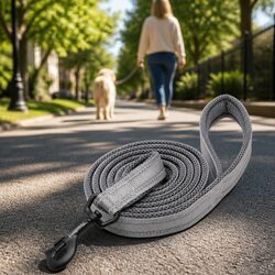 Enhance Your Nighttime Walks with 2m Reflective Dog Lead