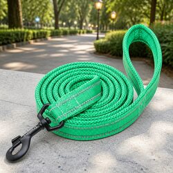Reflective Nylon Dog Leash 2m Lead with Swivel Hook Mesh Padding S