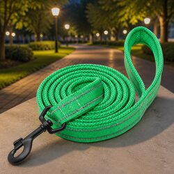 Reflective Dog Leash 2m - Enhance Your Nighttime Walks