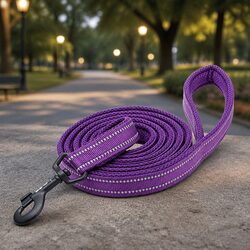 Reflective Dog Leash 2m Nylon Lead Purple Small Pet Walking Training