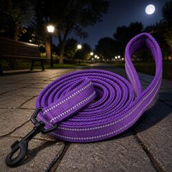 Reflective Pet Leash 2m Purple for Confident Outdoor Walking