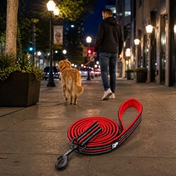 Reflective Nylon Dog Leash 2m Lead Pet Walking Red Small