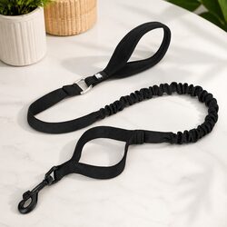Dog Leash for Comfort and Control During Walks
