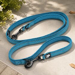 Multi-Function Dog Lead Training Leash Hands Free Reflective Blue Small