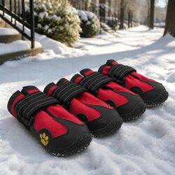 Enhance Your Pet's Adventures with Weatherproof Dog Boots