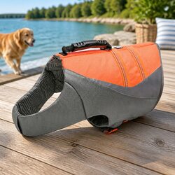 Enhance Your Dog's Safety with a Vibrant Life Jacket
