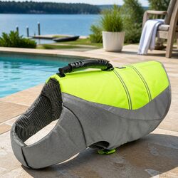 Enhance Your Dog's Water Adventures with This Life Jacket