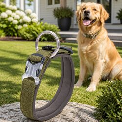 Active Puppy Collar in Army Green for Enhanced Visibility