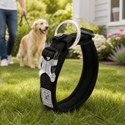 Reflective XL Dog Collar for Adventurous Puppies