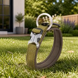Stylish and Durable XL Army Green Dog Collar