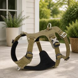 Dog Harness No Pull Escape Proof Adjustable Straps Reflective Safety M