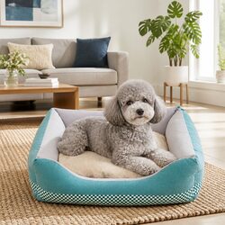 Stylish Medium Dog Bed for a Cozy Home Environment