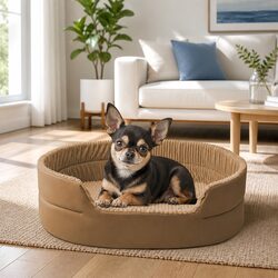 Elevate Your Pet's Space with This Khaki Pet Nest