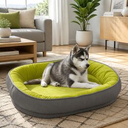 Enhance Your Pet's Space with Our Cozy Dog Bed