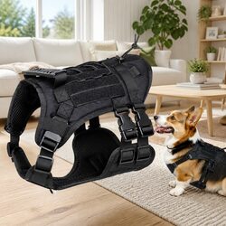 Lifestyle-Enhancing Black Dog Vest with Poop Bag Dispenser