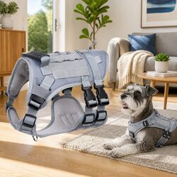 Enhance Your Pet's Outdoor Adventures with This Harness