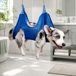Enhance Your Pet Care Routine with Our Grooming Hammock