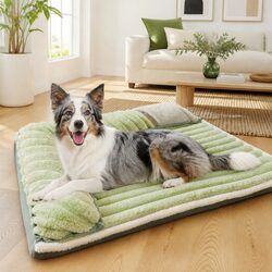 Elevate Your Space with a Chic Green Velvet Dog Bed